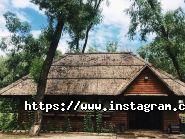 Байдики, ресторан фото