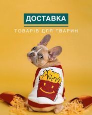 Джессі, зоомагазин фото