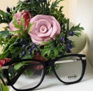 Nova, оптика фото