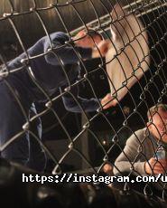 Upgrade Club, спортивний клуб фото