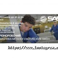 Сас интернешнл групп украина, рекрутинговое агентство фото