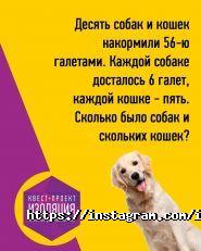 Ізоляція, центр з організації квестів фото