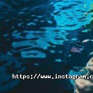 Rap Music Swag Music Records, студия звукозаписи фото