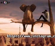 Фотостудія Інсайд 35мм фото