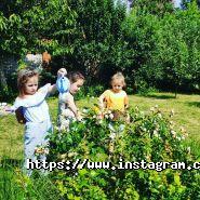 Sunny Bunny, центр розвитку і міні-садок фото