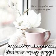 Уцоа вєда, аудиторська компанія фото