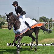 IStudy, агентство, освіта за кордоном фото