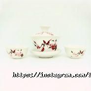 Bluebird, мережа магазинів фото