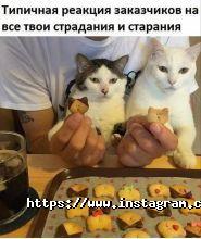 Style Sites, создание сайтов фото