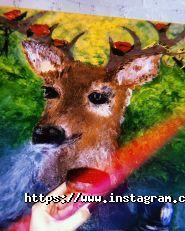 Олень, кальянная фото