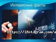 Arcanum, музыкальная школа фото
