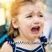 Чудо батьки, тренінговий центр фото