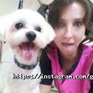 Волохатий звір, зоосалон фото