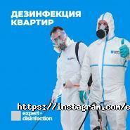 Expert Cleaning фото