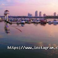 More Emotions, компания фото