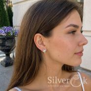 SilverOk group фото