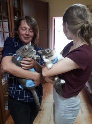 Тета, ветеринарная клиника фото