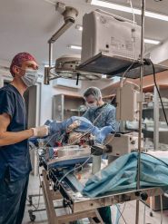 А-Вет, ветеринарна клініка фото