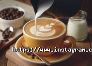 New Life, курси іноземних мов фото