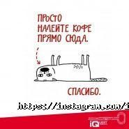 IQquest, компанія з організації квестів фото