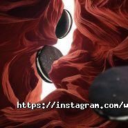 White, кав'ярня фото