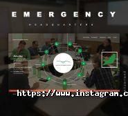 Delfin Studio, веб-студия фото