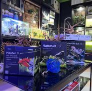 Флора і Фауна,  акваріуми і тераріуми фото