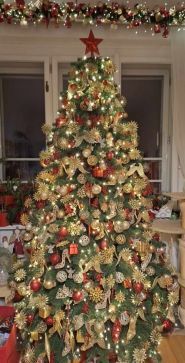 Smereka Karpat, магазин ялинок фото