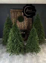 Home Prostor, магазин ялинок фото