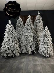 Home Prostor, магазин ялинок фото