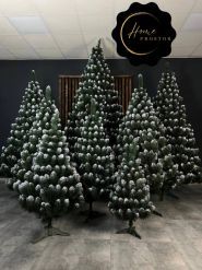 Home Prostor, магазин ялинок фото