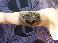 TattooStudio, тату-салон фото