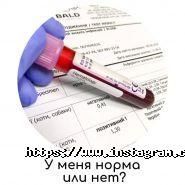 Bald, ветеринарна лабораторія фото