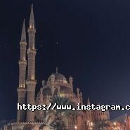 Артіфіка, туристична компанія фото
