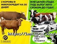 Р-ФИНАНС, автоломбард фото