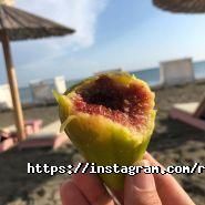 Вест Альянс, працевлаштування за кордоном фото