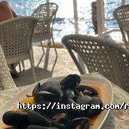 Вест Альянс, працевлаштування за кордоном фото