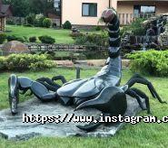 Чарівне озеро, готельно-ресторанний комплекс фото