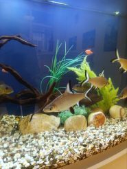 Стоматологічна клініка доктора Борода фото