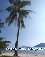 BroVi, салон краси фото