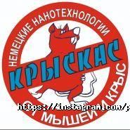 Питомец, зоомагазин фото