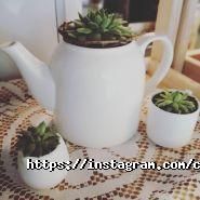 The Телиці, кав'ярня фото