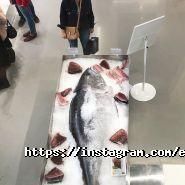 Egersund Seafood, магазин по продаже рыбы фото