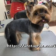 Лапонька, зоосалон фото