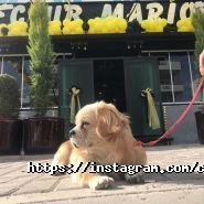Марио, игровой клуб фото