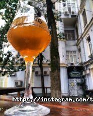 Ципа Taphouse, бар фото