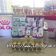 Дистриб'юторська фірма, зоотовари фото