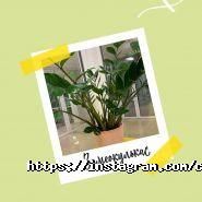 Coffee Tower, кав'ярня фото