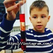 DSA school, альтернативна школа фото