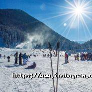 Манго Тревел, туристичне агентство фото